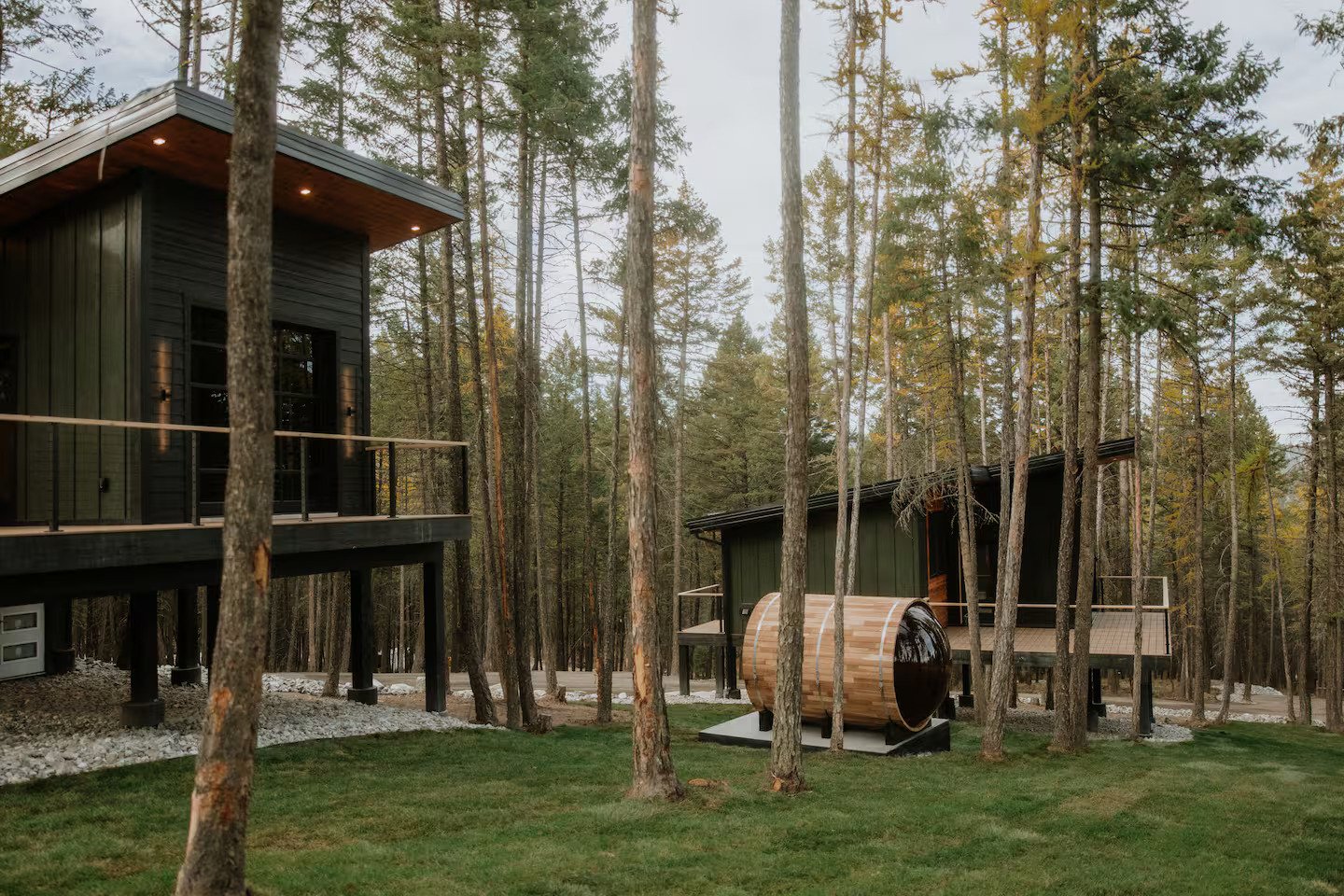 The Summit treehouse among the pines