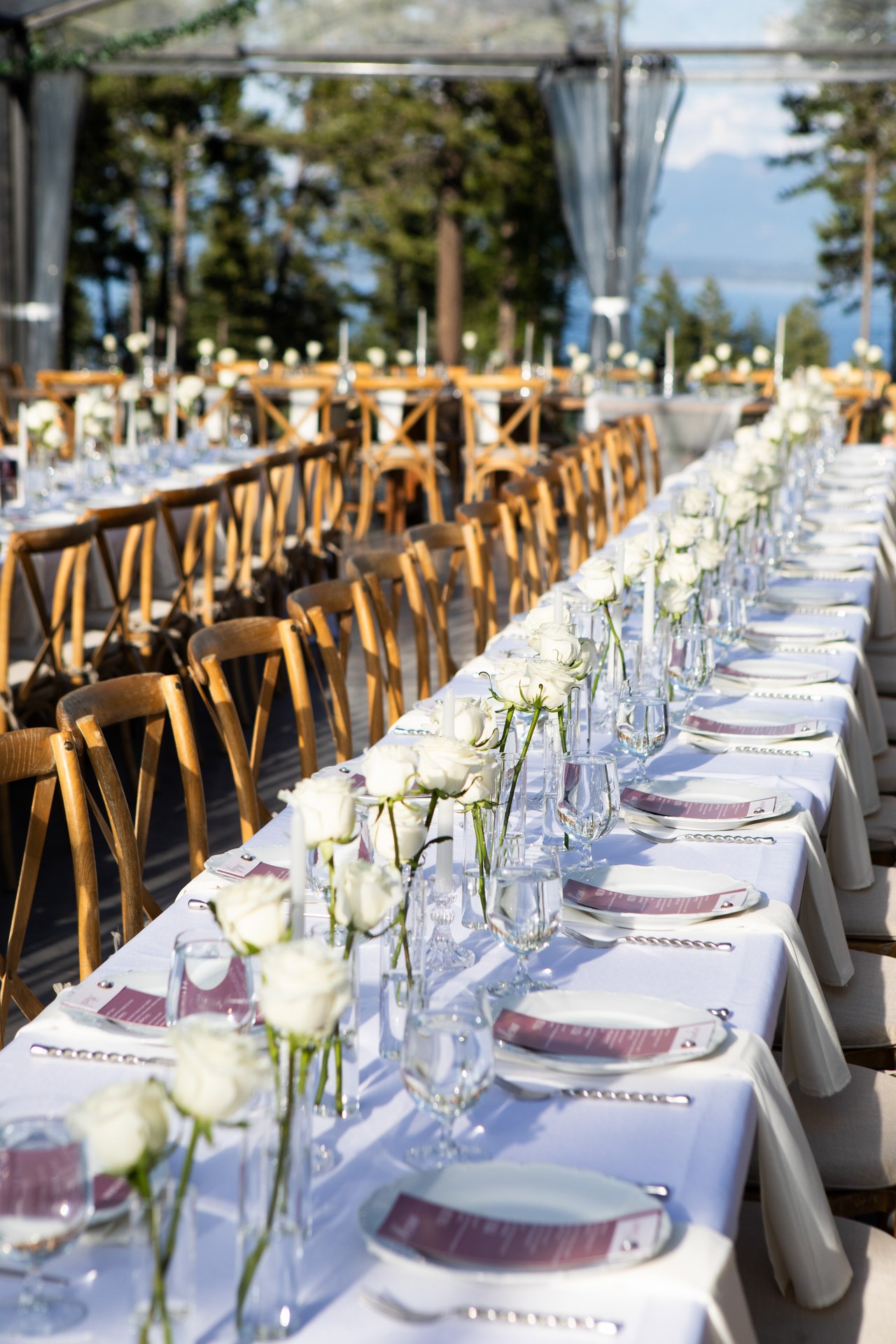 Long tables under the clear tent, set with white roses and candles